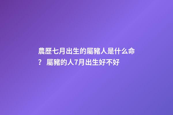 農歷七月出生的屬豬人是什么命？ 屬豬的人7月出生好不好-第1張-觀點-玄機派